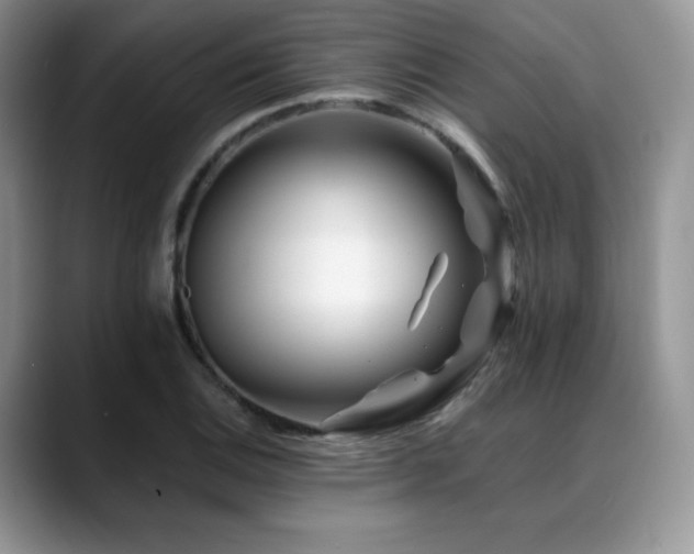 X0000088911124200706081336