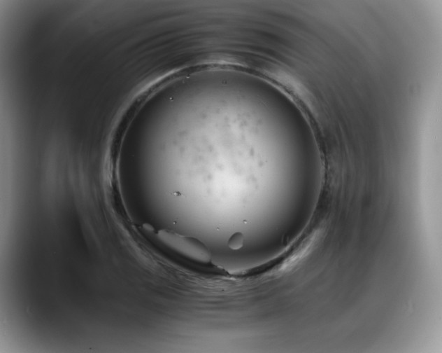 X0000088911125200706081336