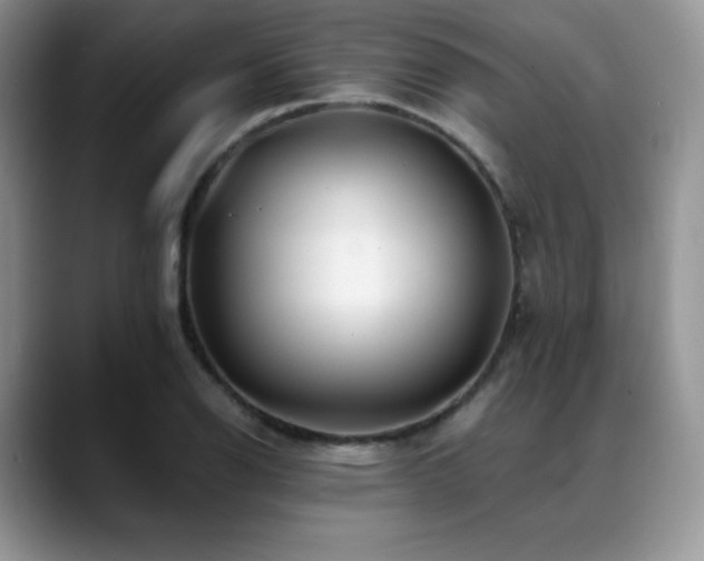 X0000088911126200706081336