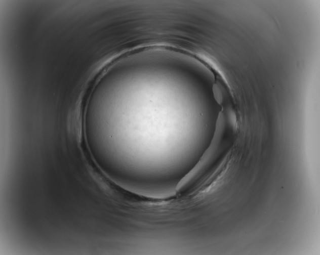 X0000088911127200706081336