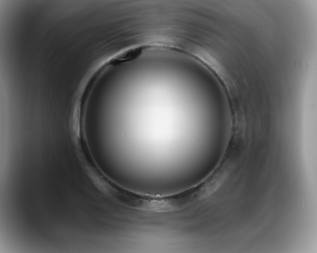 X0000088911128200706081336