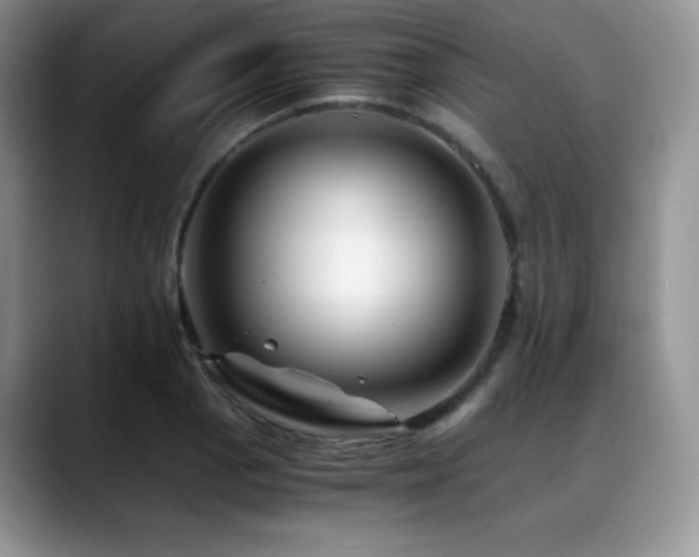 X0000088911129200706081336