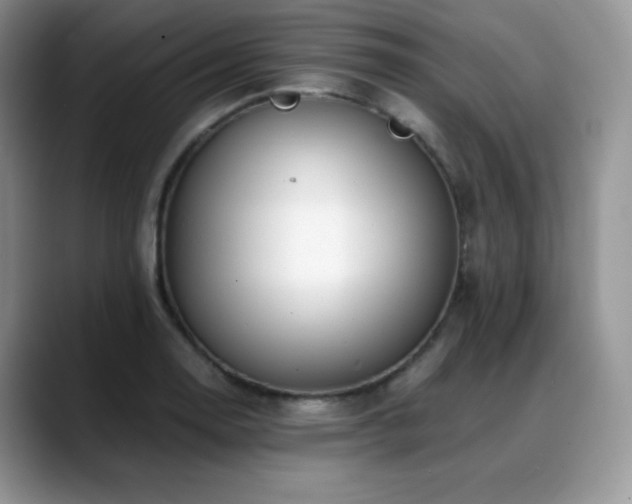X0000088911130200706081336