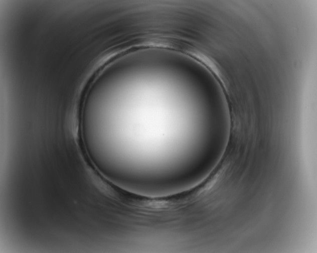 X0000088911131200706081336