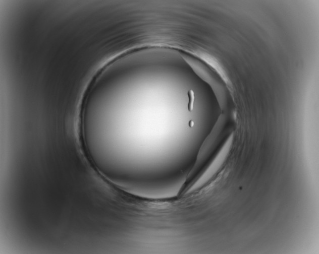 X0000088911136200706081337