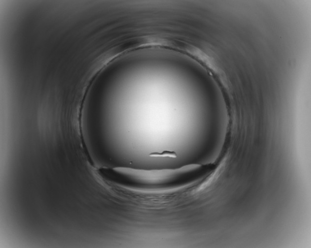 X0000088911137200706081337