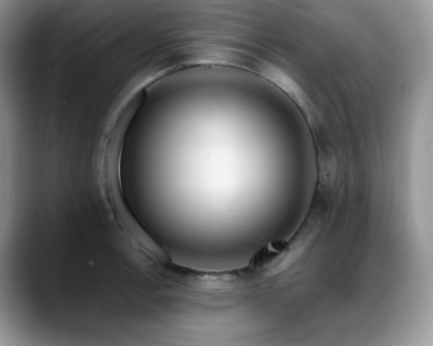 X0000088911138200706081337