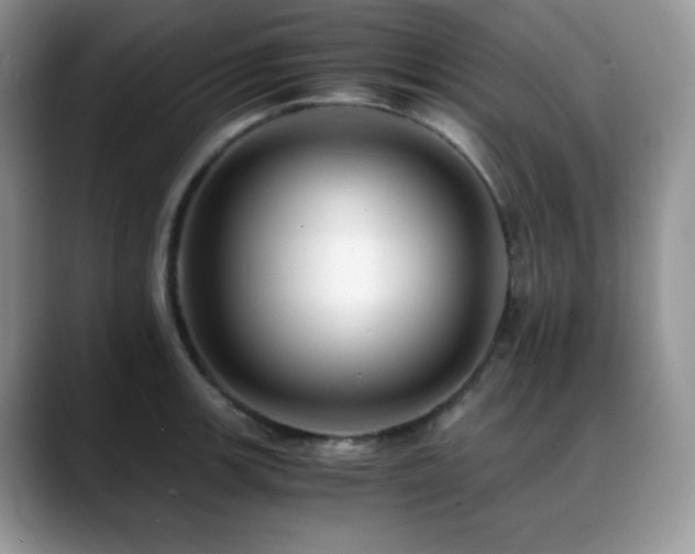 X0000088911139200706081337