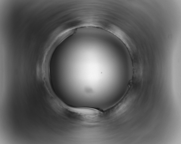 X0000088911140200706081337