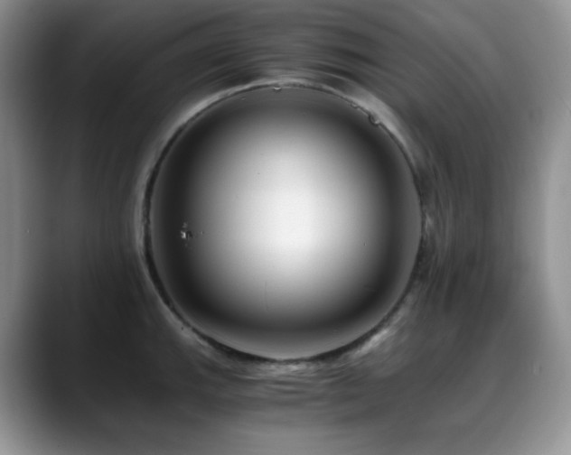 X0000088911143200706081337