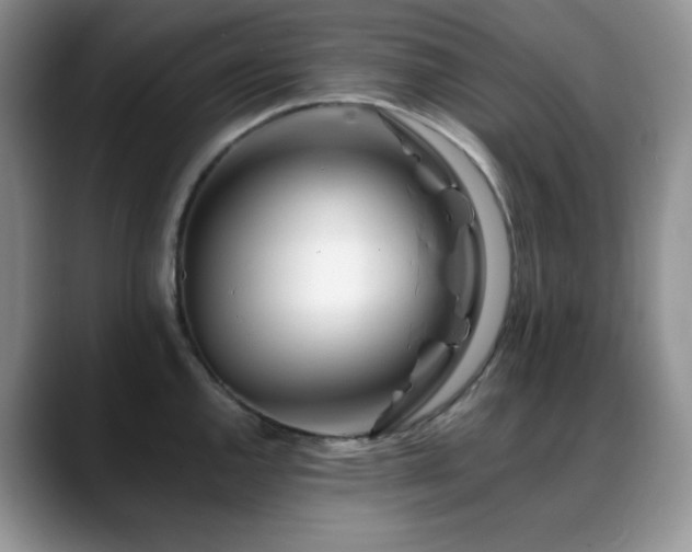 X0000088911144200706081337