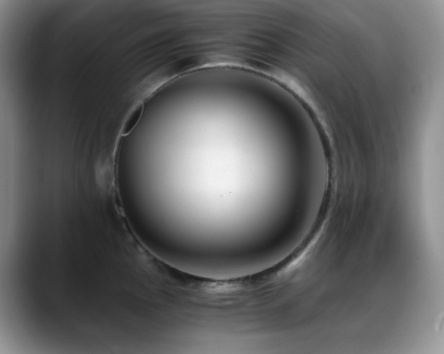 X0000088911145200706081337