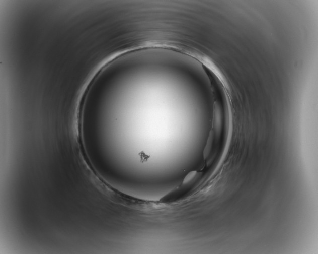 X0000088911148200706081337