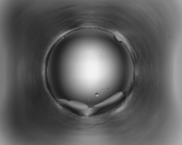 X0000088911149200706081337