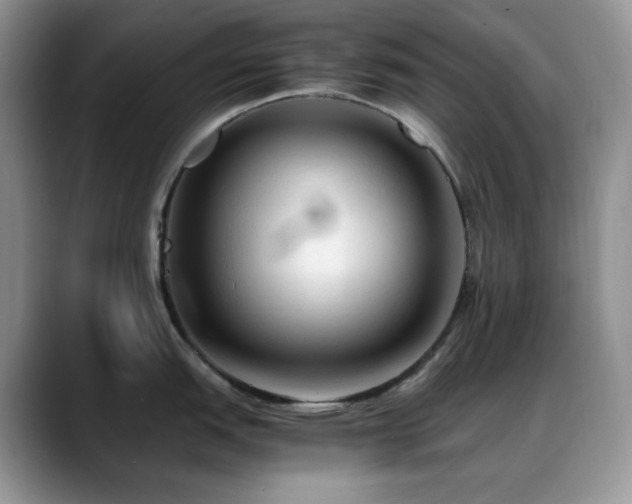X0000088911151200706081337