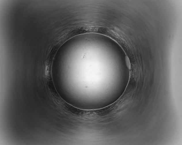 X0000088911154200706081336