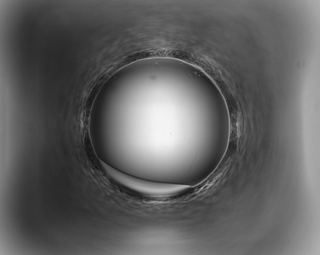 X0000088911157200706081336