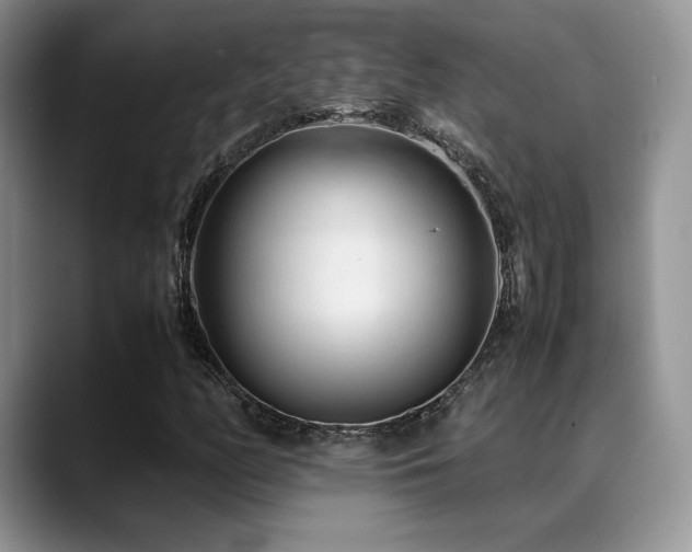 X0000088911158200706081336