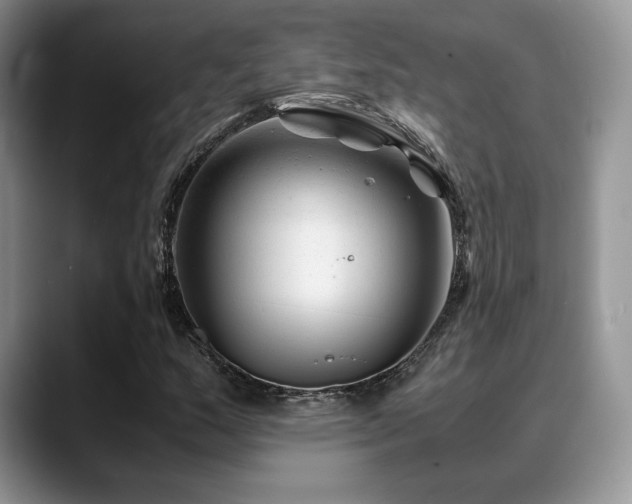 X0000088911159200706081336
