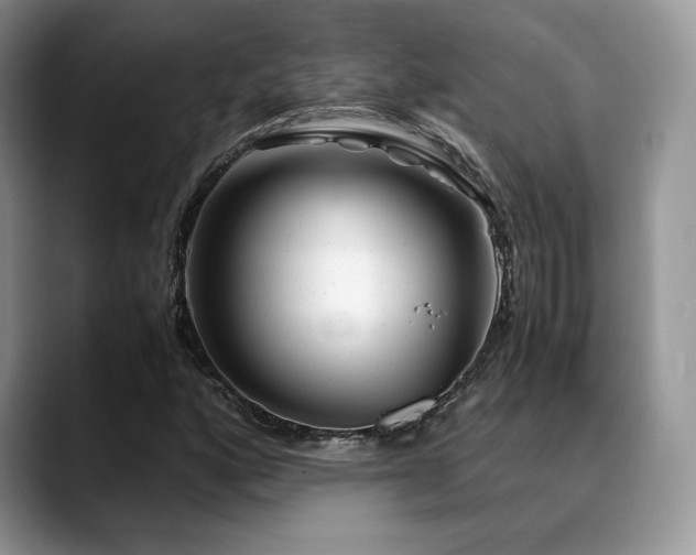 X0000088911160200706081336