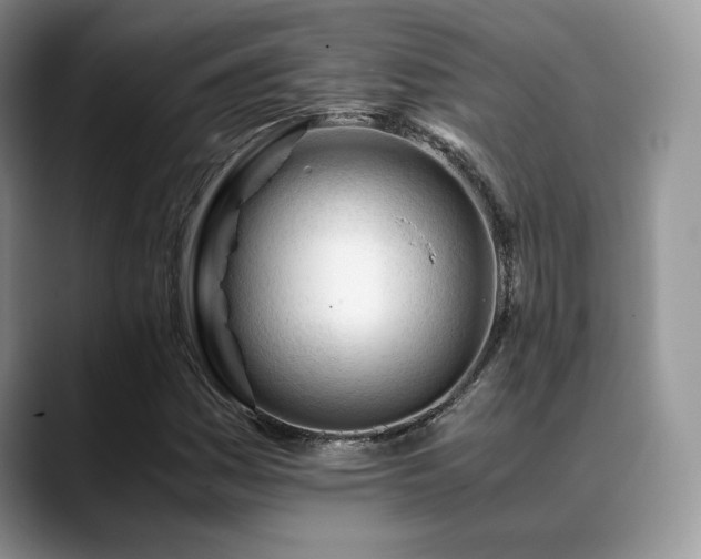 X0000088911161200706081336