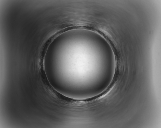 X0000088911163200706081336