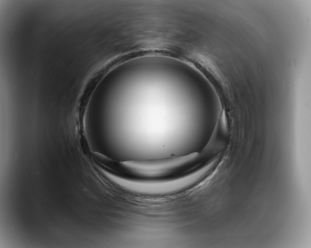 X0000088911164200706081336