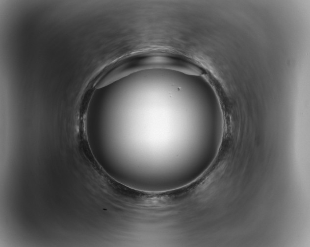 X0000088911165200706081336