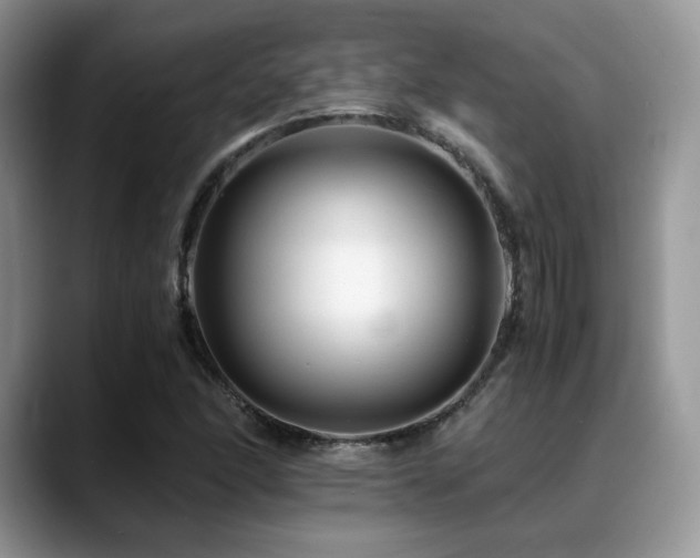 X0000088911166200706081336