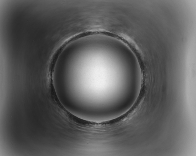 X0000088911167200706081336