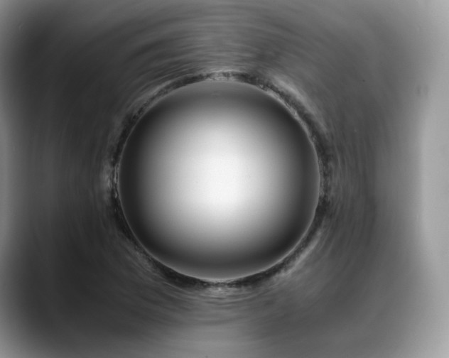X0000088911169200706081336