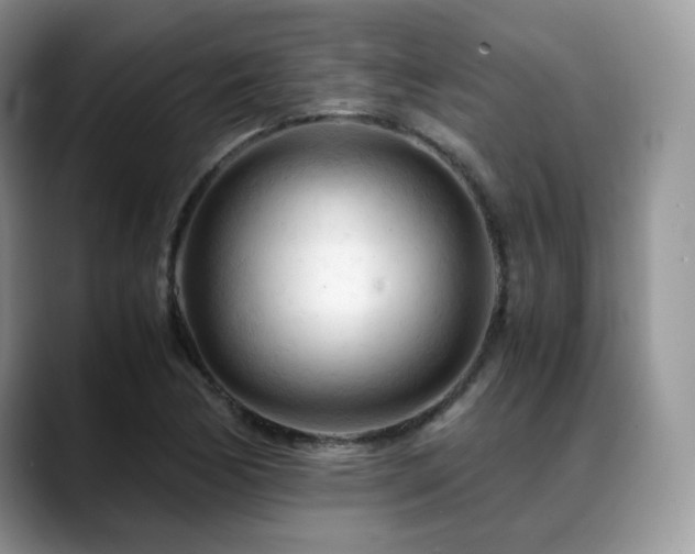 X0000088911170200706081336