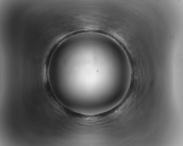 X0000088911171200706081336