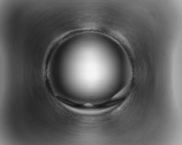 X0000088911172200706081336
