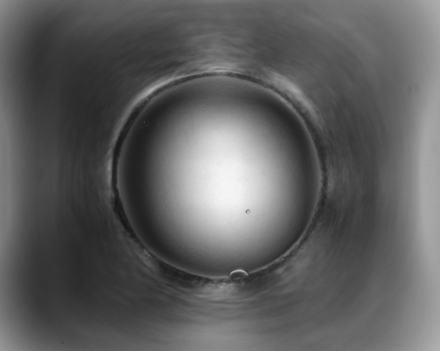 X0000088911174200706081336