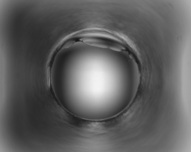 X0000088911175200706081336