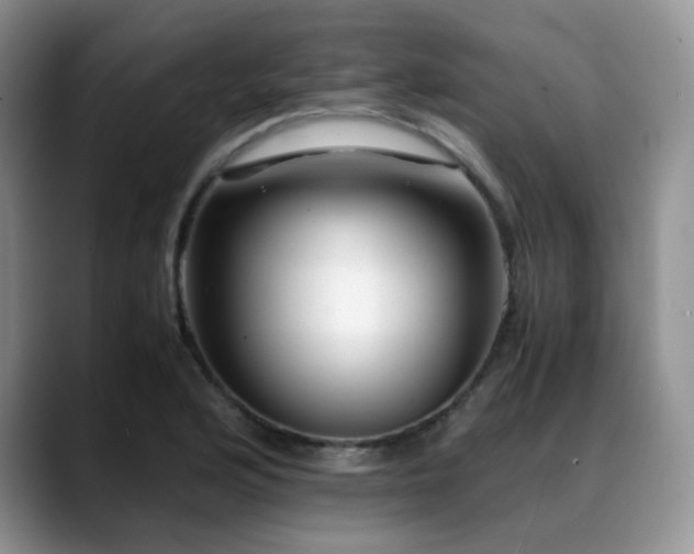 X0000088911176200706081336