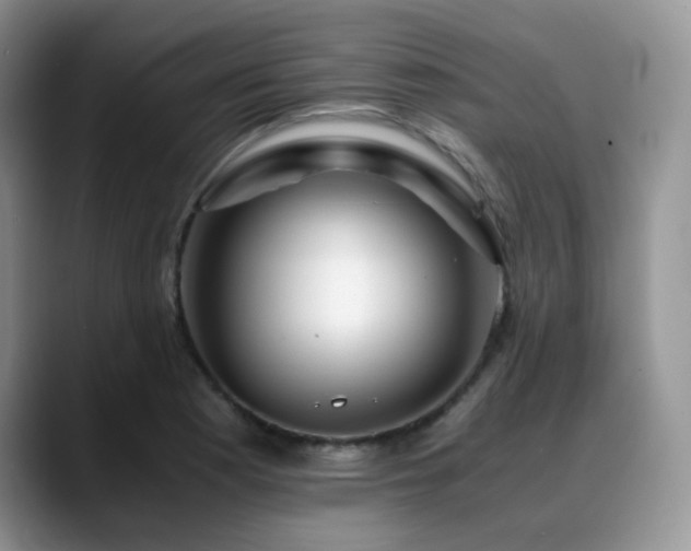 X0000088911177200706081336