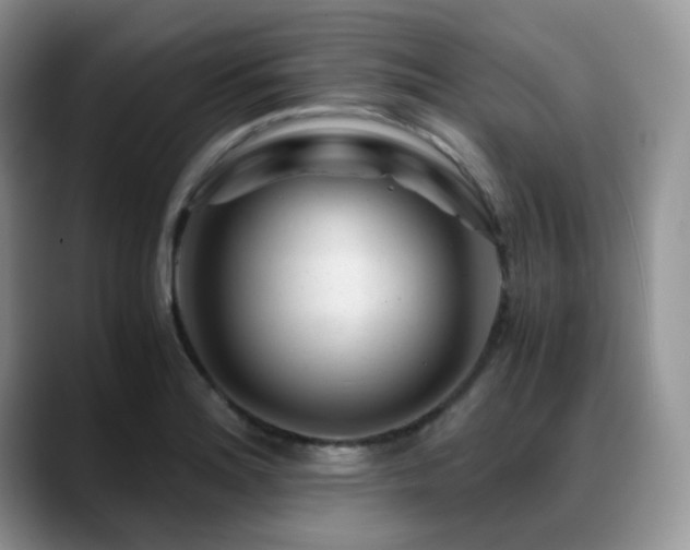 X0000088911180200706081336