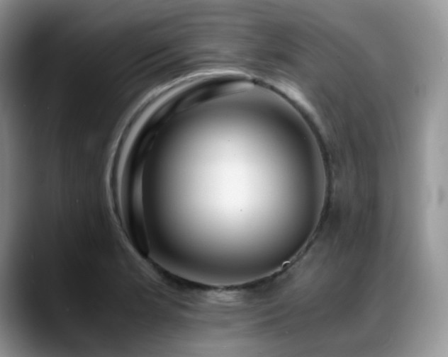 X0000088911181200706081336