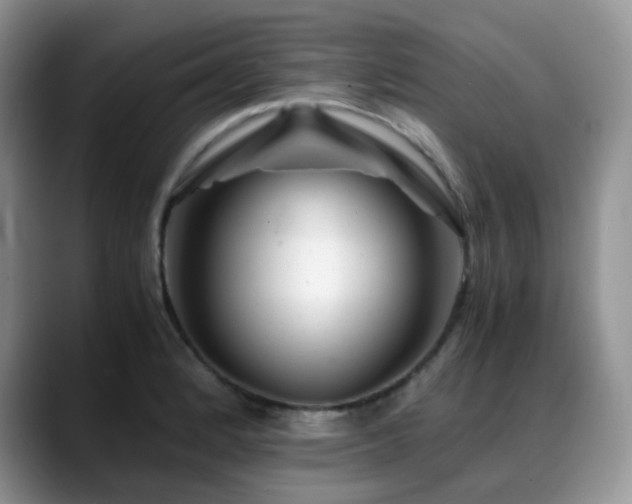 X0000088911184200706081336