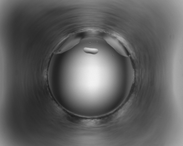 X0000088911185200706081336