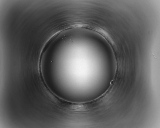 X0000088911186200706081336