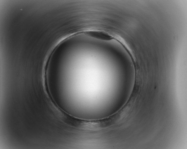 X0000088911187200706081336