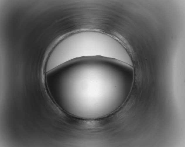 X0000088911188200706081336