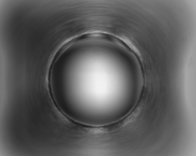 X0000088911189200706081336