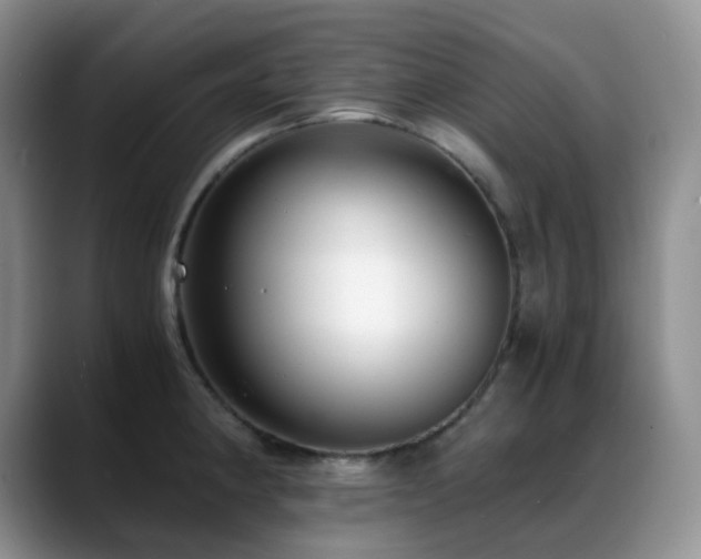 X0000088911190200706081336