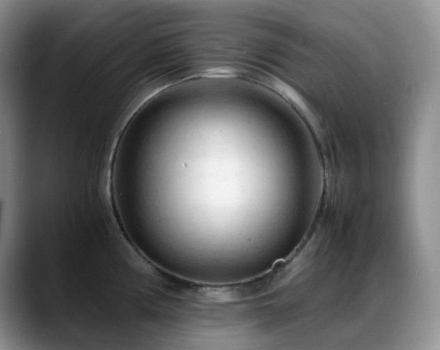 X0000088911194200706081336