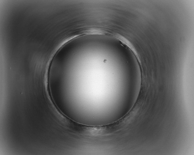 X0000088911195200706081336