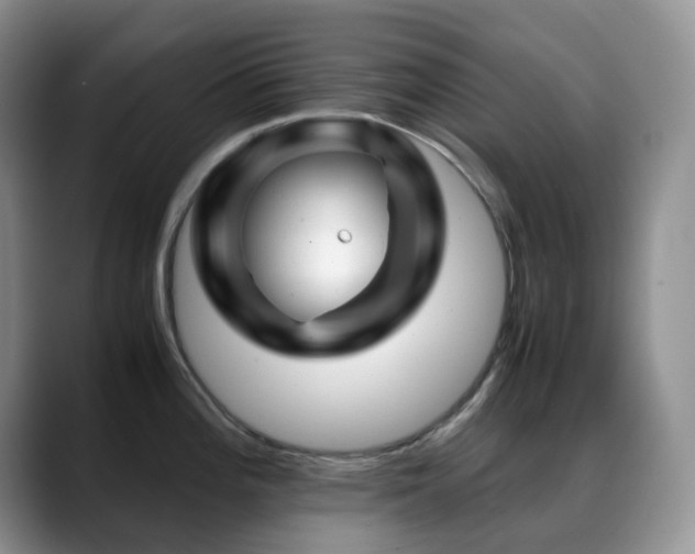 X0000088911196200706081336